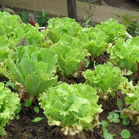 Rinconcito Verde Ujarras Ngoại thất bức ảnh