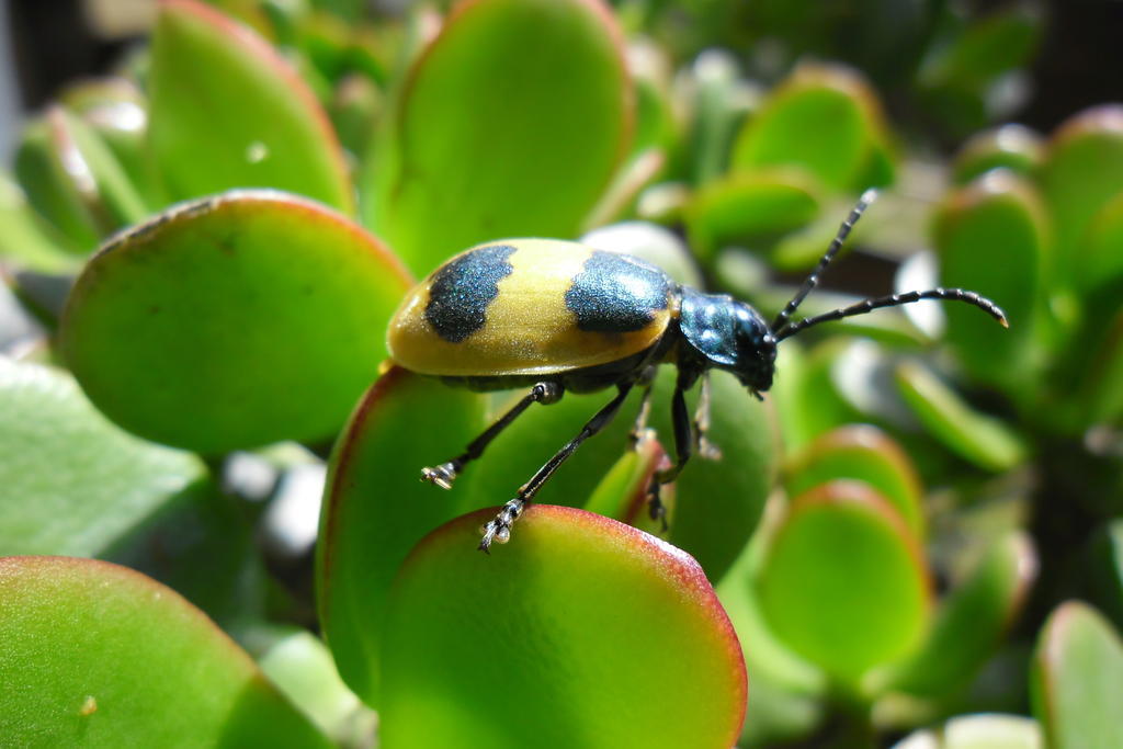 Rinconcito Verde Ujarras Ngoại thất bức ảnh
