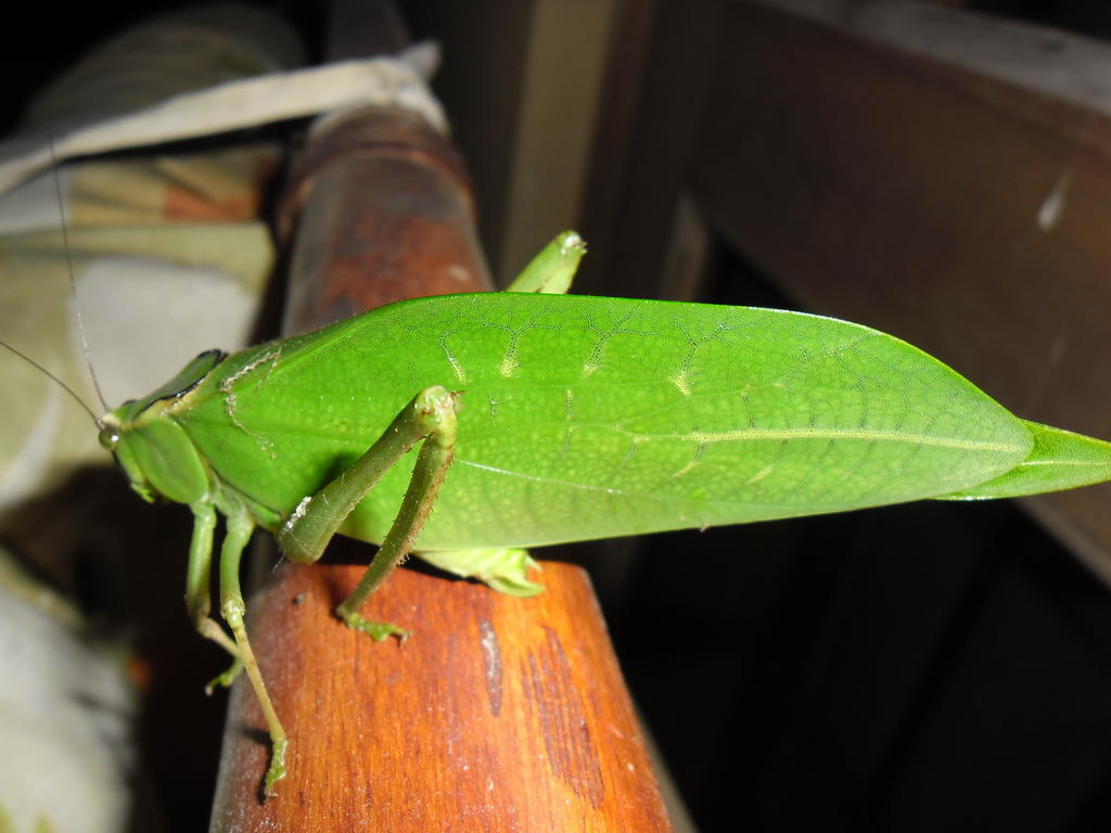 Rinconcito Verde Ujarras Ngoại thất bức ảnh