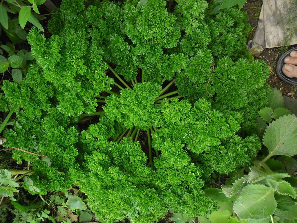 Rinconcito Verde Ujarras Ngoại thất bức ảnh