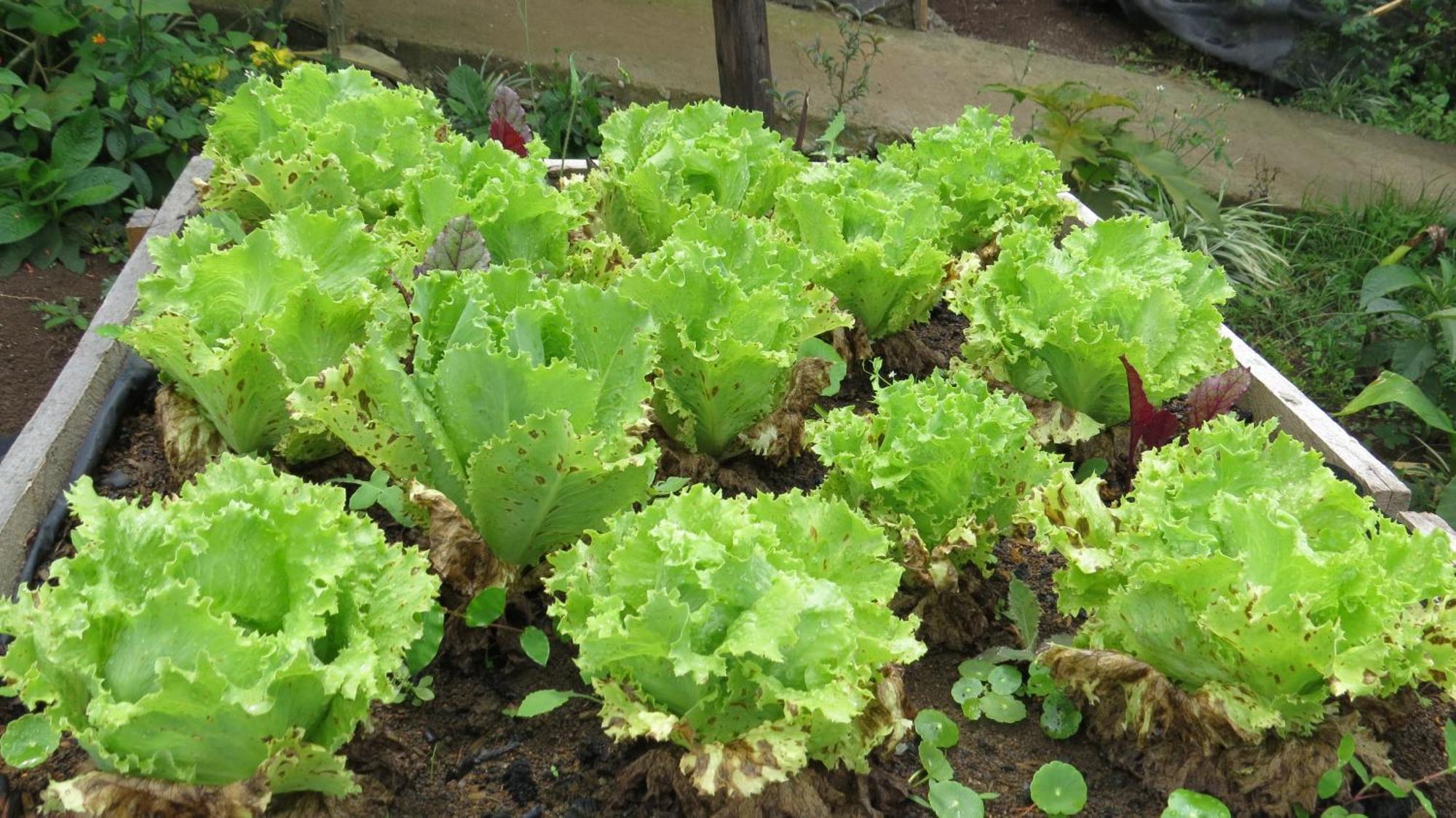 Rinconcito Verde Ujarras Ngoại thất bức ảnh