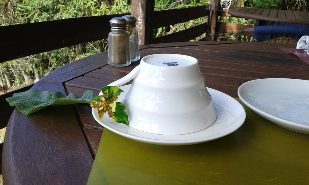 Rinconcito Verde Ujarras Ngoại thất bức ảnh